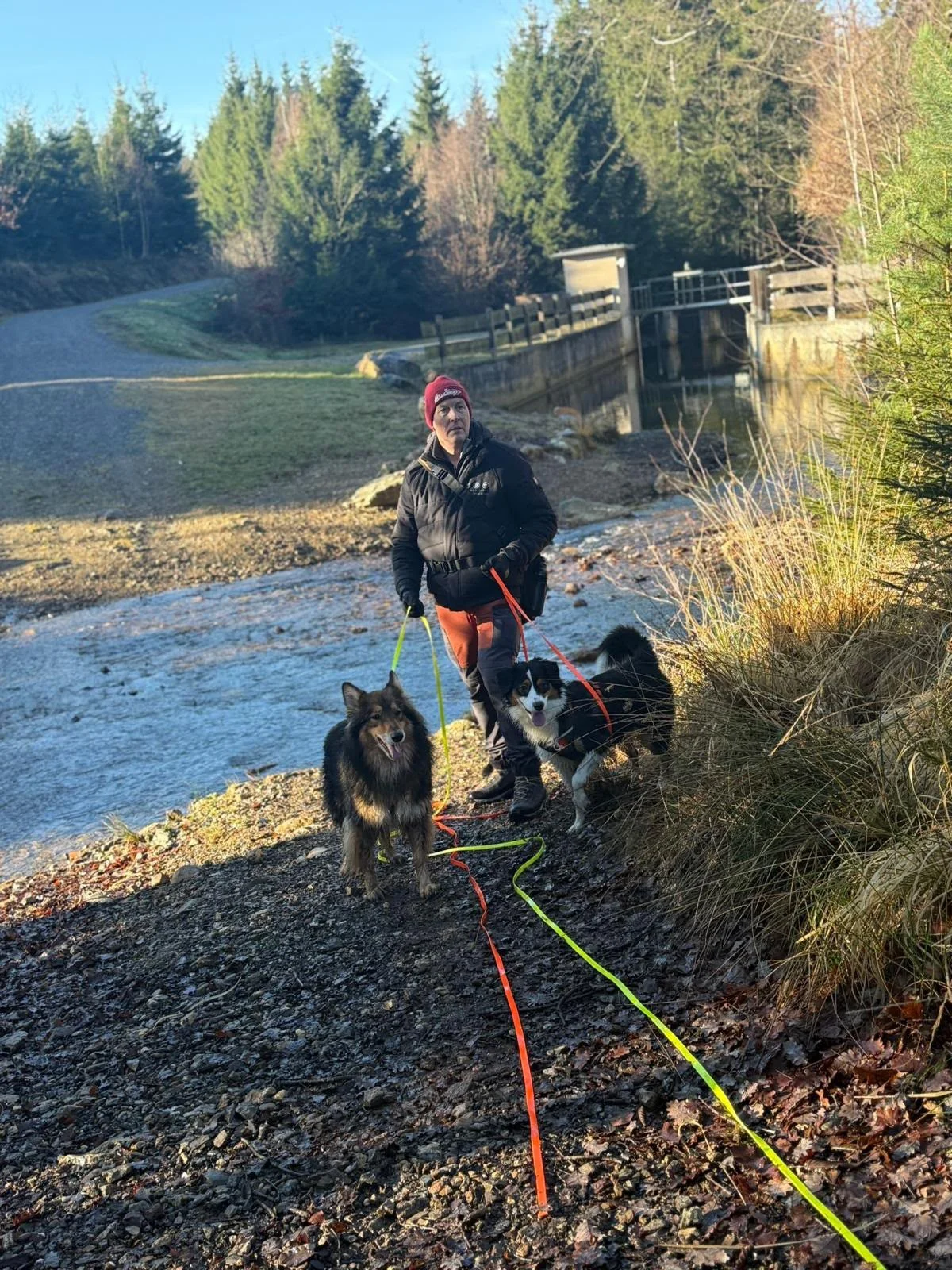 Ralf mit zwei Hunden unterwegs beim Training