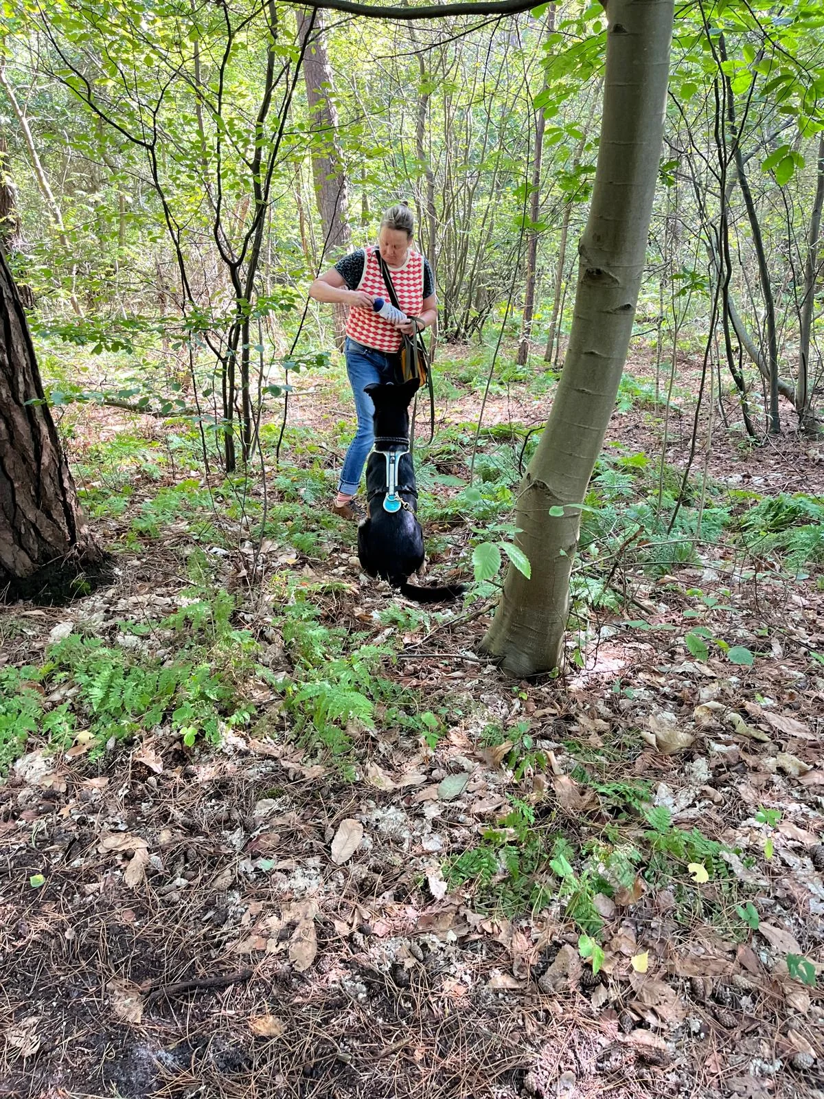 Einblick in den Alltag und das Training der Fellnasen – Bild 1